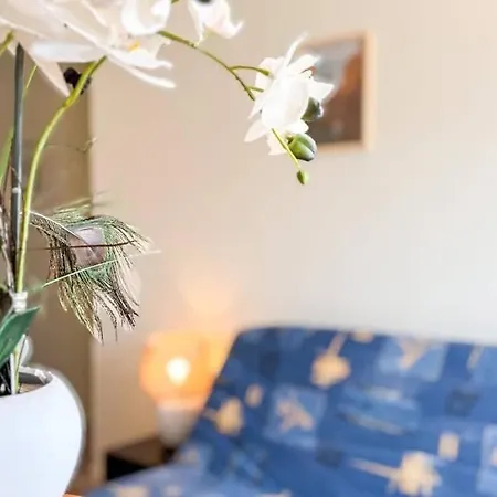Apartamento Cozy With Balcony