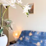 Apartment Cozy With Balcony